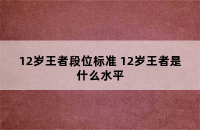 12岁王者段位标准 12岁王者是什么水平